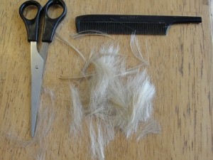 cutting toddler hair