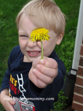 collecting dandelions