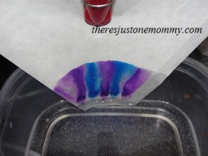 chromatography experiment