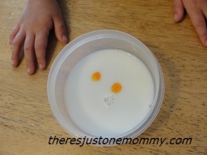preschool science experiment