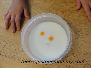preschool science experiment -- exploding milk experiment 