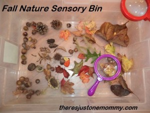 fall sensory bin