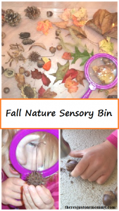 simple fall sensory bin -- all children to explore nature with this fall kids activity