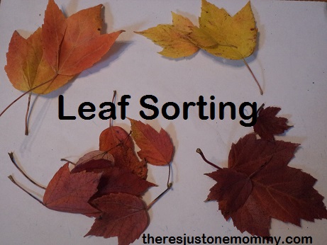 leaf activity for preschoolers