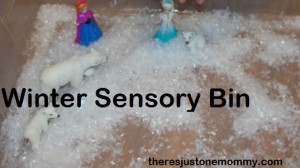 winter sensory bin