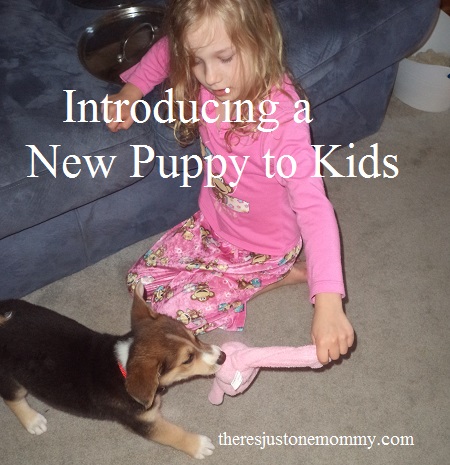 tips for introducing a new puppy to the kids