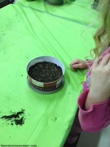 planting seeds for Welcome to the Flower Garden