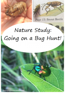 Nature Study: Going on a Bug Hunt!