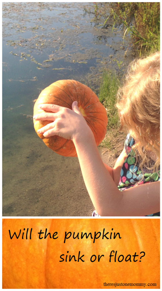 Will the pumpkin sink or float? A simple science experiment for fall