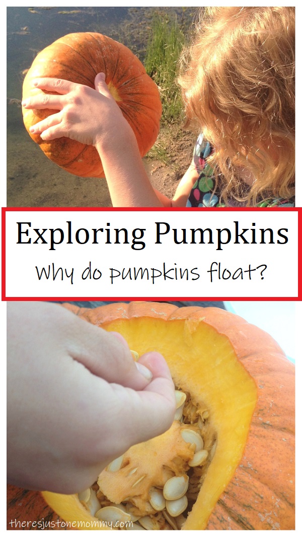 experiment to find out why pumpkins float