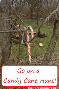 Go on a candy cane hunt -- fun kids Christmas activity