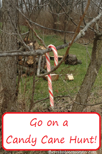 Go on a candy cane hunt -- fun kids Christmas activity