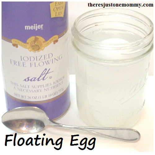 egg experiment -- make an egg float! 