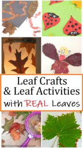 crafts with real leaves