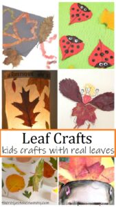 fall crafts using real leaves