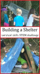 build a shelter STEM challenge