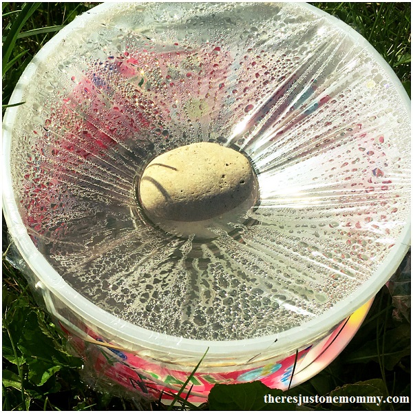 how to make a solar still; simple summer science experiment for kids -- how to purify water
