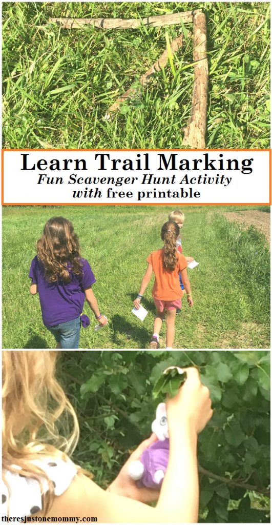 Do your kids love scavenger hunts? Teach Trail Marking skills with this simple trail blazing activity. Get a free printable by clicking through to There's Just One Mommy.